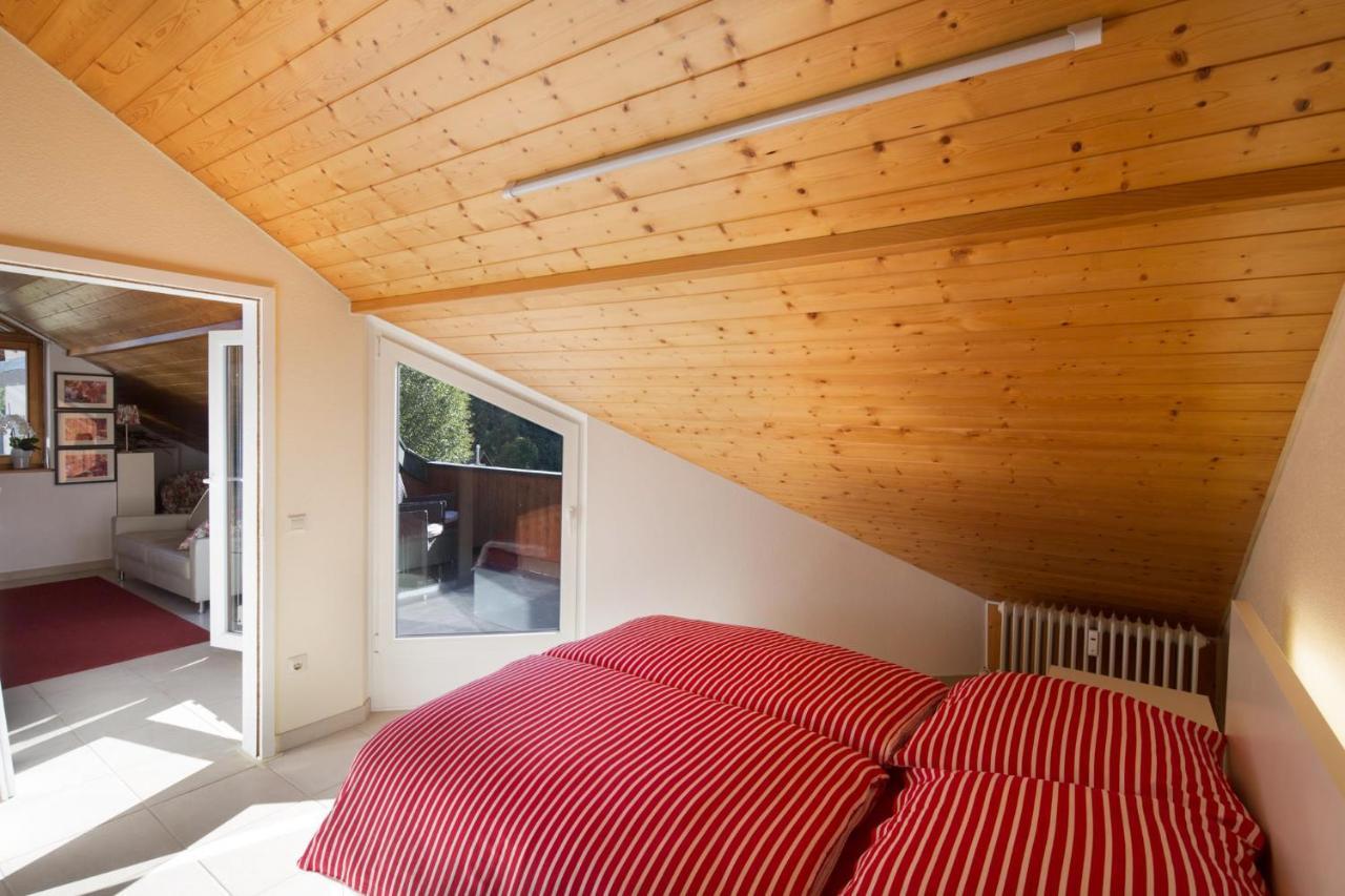 Tanja'S Comfort Apartment Titisee 외부 사진